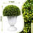 23” Artificial Pine Cone-Shaped Topiary Ball Tree (Set of 2)