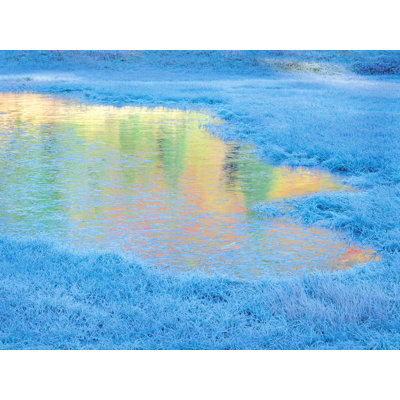 Frozen Autumn Pond Print by Bruce Heinemann