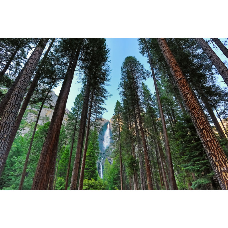 Yosemite Falls - Photographie sur toile tendue, H 8 po x l 12 po