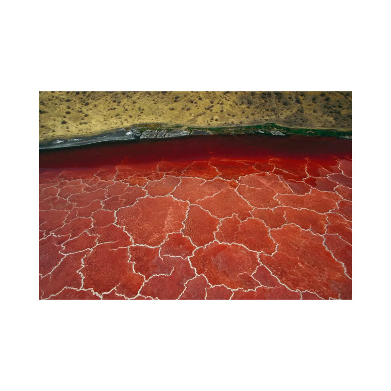 Soda And Algae Formations Near Shore Of Lake Natron, Great Rift Valley, Tanzania by Gerry Ellis - Wrapped Canvas Print