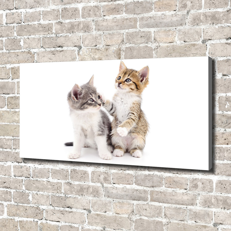 Two Small Cats - Print, Canvas, 70cm H x 140cm W x 2cm D