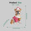 Décoration de Noël festive bouledogue français (pile incluse)-1387761296