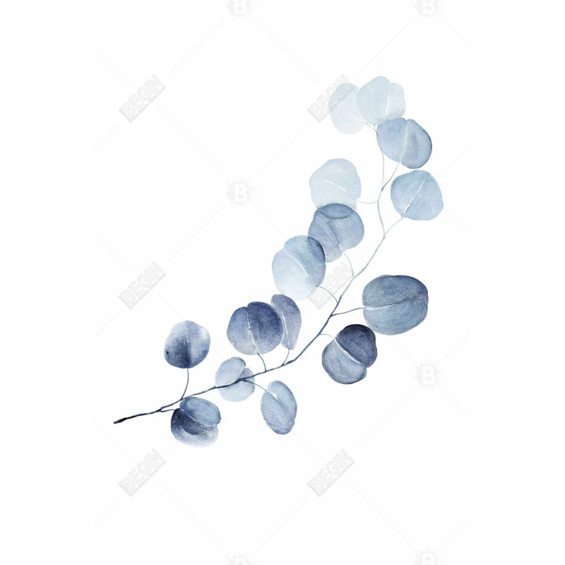 "Une branche d'eucalyptus" sur toile