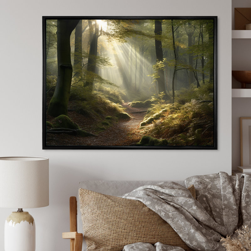 La lumière traverse la forêt III - impression, H 12 po x l 20 po x P 1 po, Cadre flottant noir