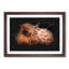Highland Cow In The Shadows Paint Splash - Picture Frame Graphic Art-56866700-56866708