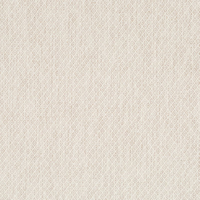 Robert Allen @Home Fabric