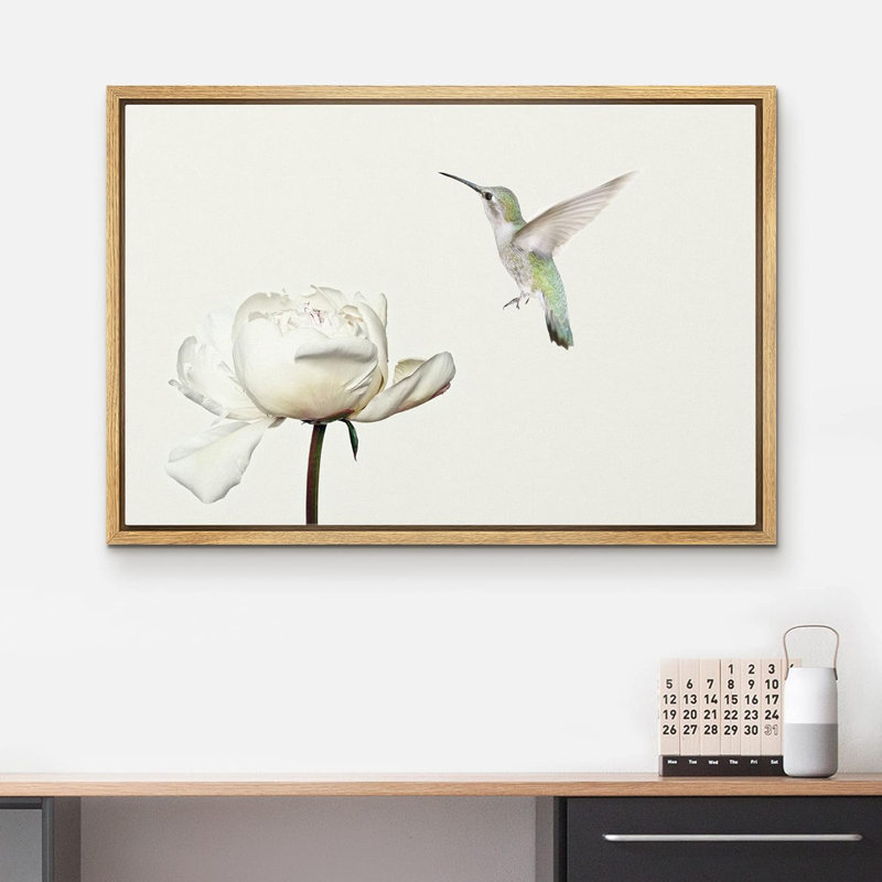 Animaux, colibri vole sur une fleur d'œillet blanc sur toile, H 16 po x l 24 po x P 1,5 po, Cadre naturel