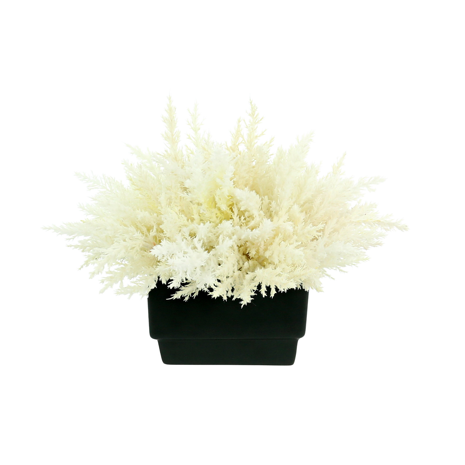 Pampas Floral Arrangement in Vase, 13" H x 16" W x 16" D, Black/White