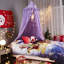 Esgerth Polyester Bed Canopy