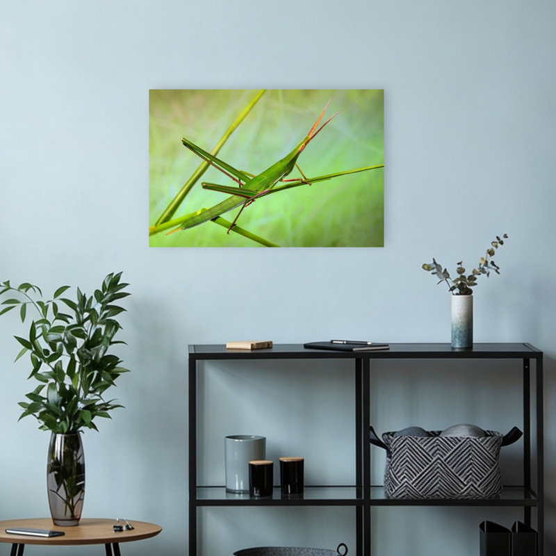Criquet vert, sauterelle délicate et sereine, illustration murale végétale naturelle, 12" H x 18" W