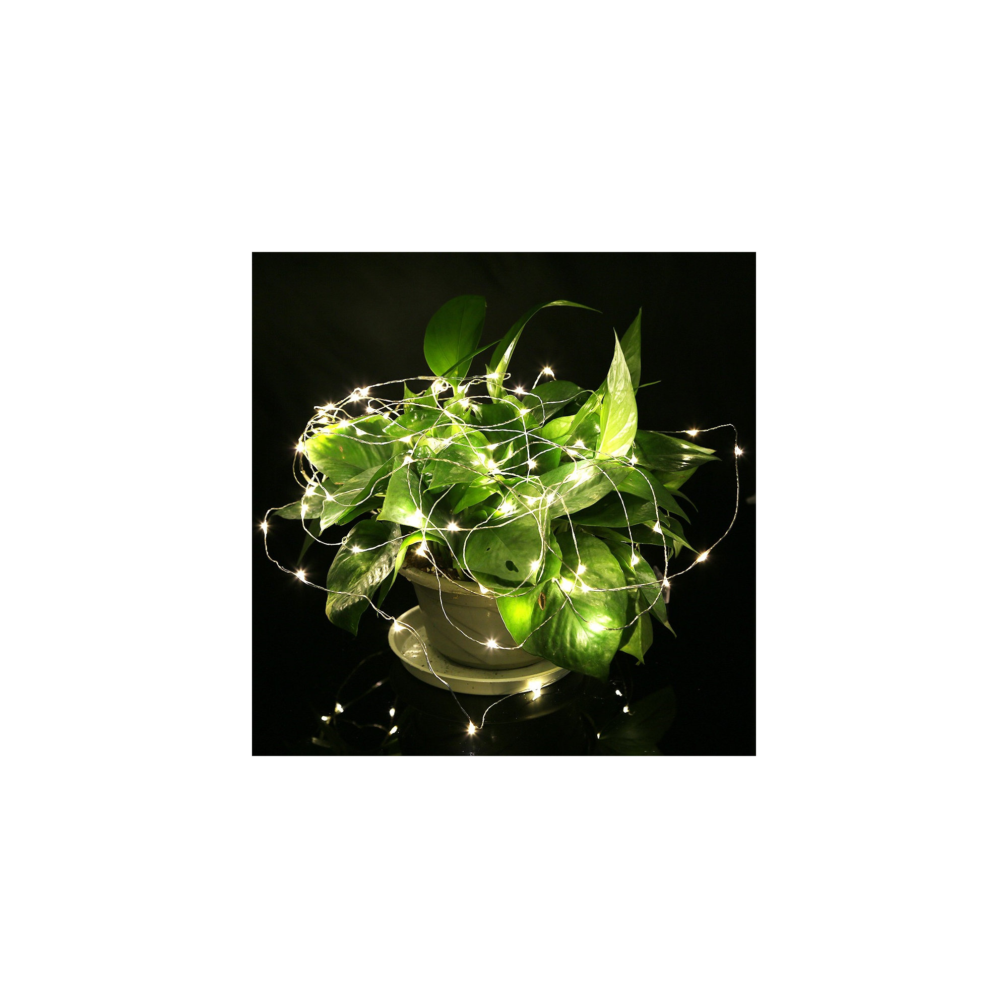 384'' LED String Lights, Warm White, 20