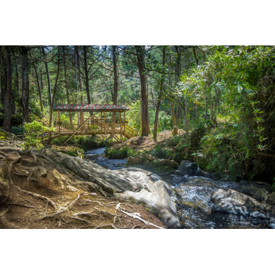 Wooden Bridge, Medellin, Colombia by Diegograndi - Wrapped Canvas Print