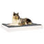 Lit pour chien Tucker Murphy Pet ™ 28,1 po x 21,3 po x 3,5 po en bois de pin massif-1034495089-1034495088