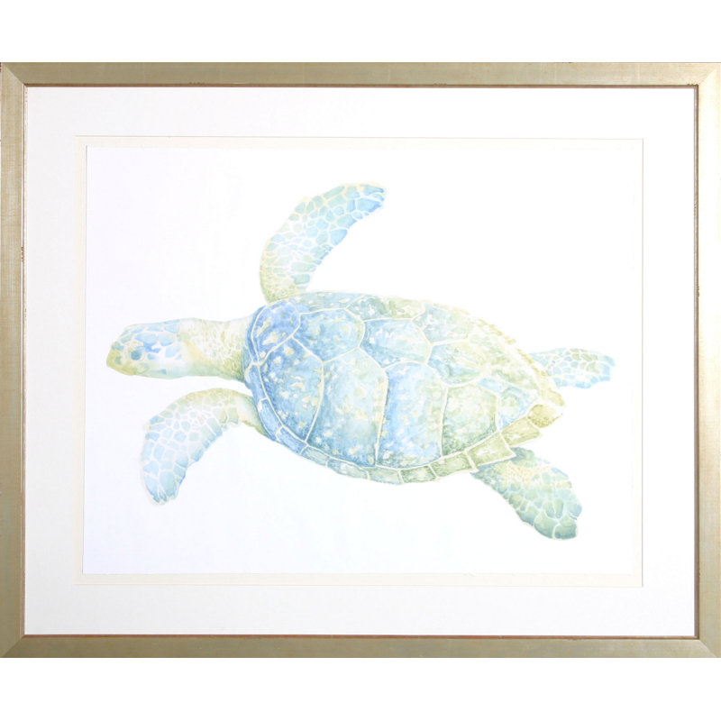 Tranquil Sea Turtle II Print by Meagher