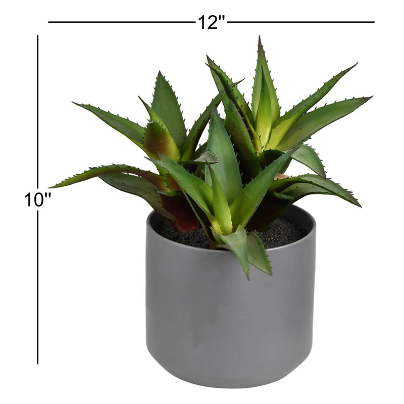 10'' Faux Succulent Plant in Ceramic Pot