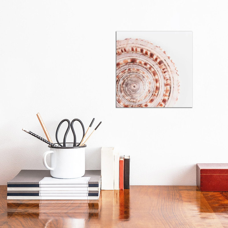 Sundial Shell II by Philippe Hugonnard - Wrapped Canvas Gallery-Wrapped Canvas Giclée, 30.48 cm H x 30.48 cm W