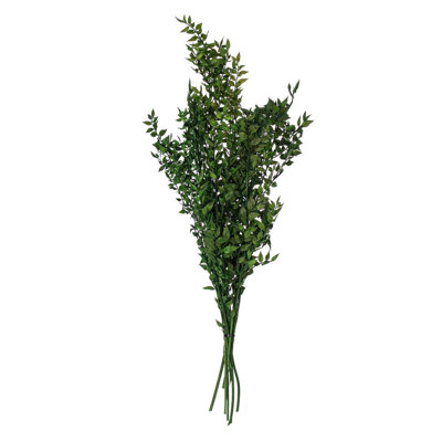 Faux Ruscus Plant