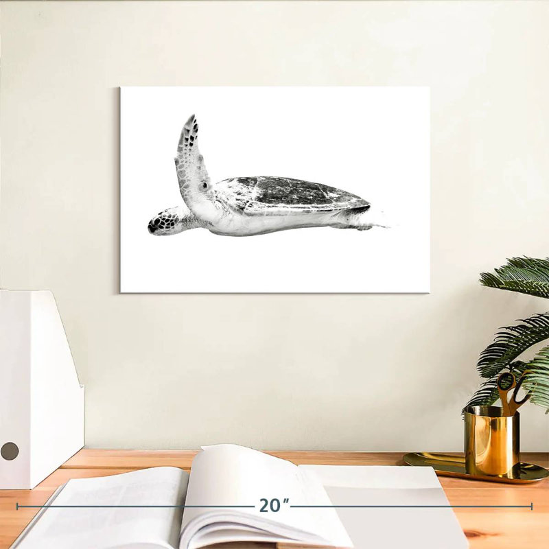 Noble Hawksbill Turtle, 8" H x 12" W