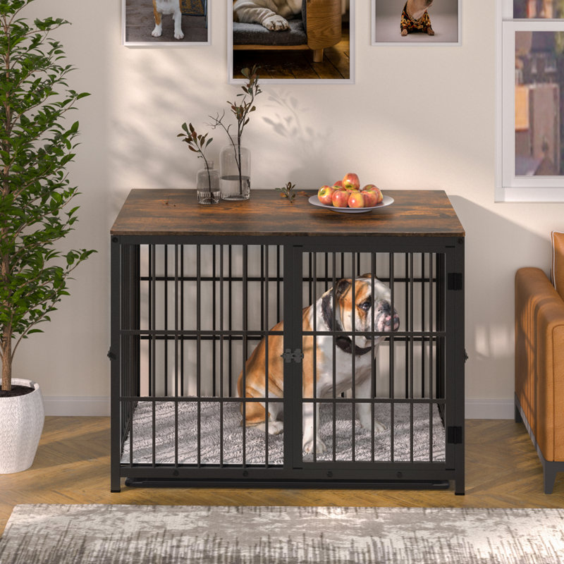 Caisse pour animal Chamiya, Noir, noir, noir, noir, Moyen (H 25,6 po x l 30,9 po x P 22,2 po)