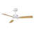 Shinpei 42" Ceiling Fan with LED Light and Remote-501020767