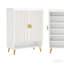 Rangement pour chaussures spacieux, armoire à chaussures de style moderne