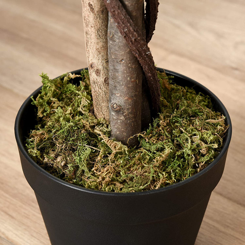 Charleston 160cm Faux Ficus Tree in Pot