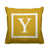 Y