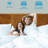 Harmony Solid Wood Bed Frame Platform Style with Sculpted Headboard, Mid-Century Modern, No Box Spring Needed, Smart Tools Assembly, 800 lbs Capacity-127582611-127582609