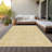  Chayden Area Rug with Non-Slip Backing-1009366190