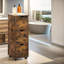 Oarryn Display Cabinet Sideboard Storage Bookcase Shelf Living Room Furniture Rustic
