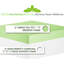 Très grand thé blanc - Matelas en mousse à mémoire de forme de la collection Herbal Fusion avec 3 pouces pour une conformité corporelle précise et un alignement de la colonne vertébrale favorisant la circulation sanguine avec un emballage à faible teneur en carbone comprimé