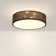 Deontee 14.96'' Linen Dimmable Flush Mount Lighting with Remote and APP