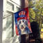 Drapeau patriotique de la maison américaine-112698771