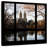 Nicci New York View From The Window - Central Park