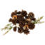 Ornaments Pinecones And Stars Christmas Decorations - 6"