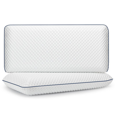 Plush Memory Foam Pillow