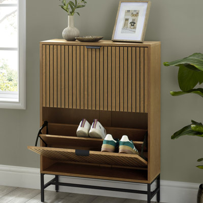 2 Door Shoe Storage Cabinet