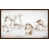 Image Brush Gel 