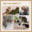 Versatile Cat Tower With Multiple Play Features For Feline Fun