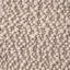 Schillinger Area Rug in Ivory-128091219
