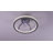 Ceiling Fan with LED Lights