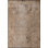 Rapture Mustard Brown/Gray Polka Dots Luxury Area Rug