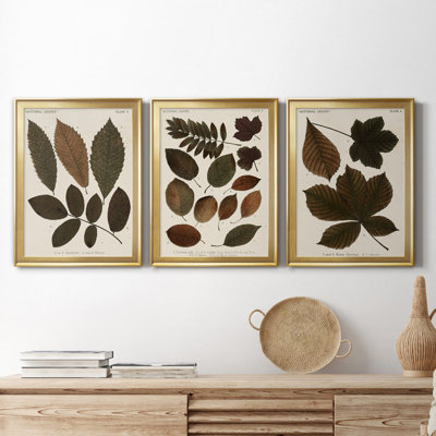 Autumnal Leaves I - Ensemble de 3 peintures sur toile encadrées