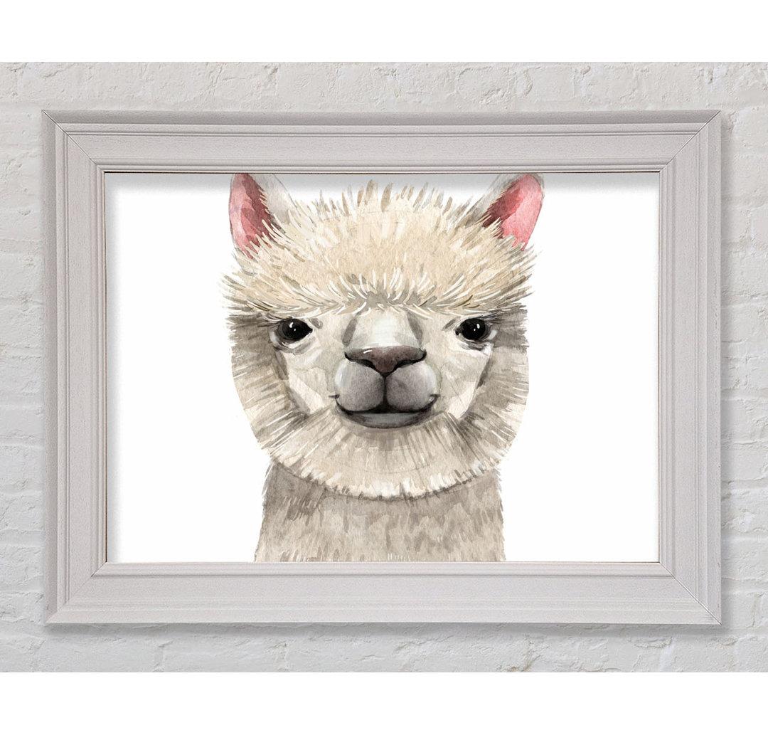 Llama Drama Gerahmter Druck