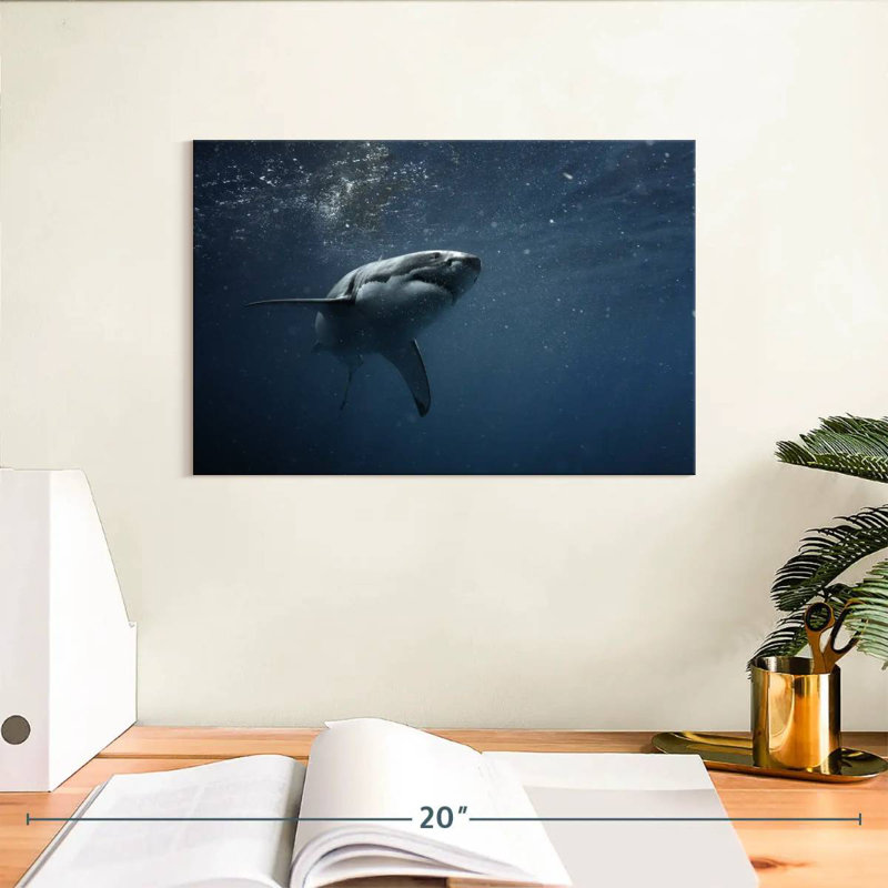 Brampt Great White Shark, 8" H x 12" W