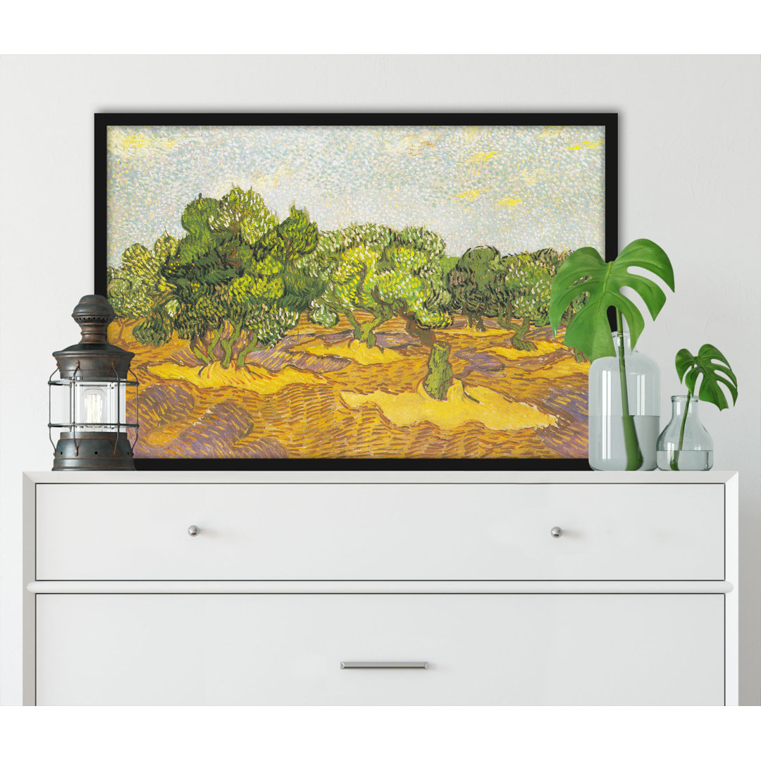 Gerahmter Kunstdruck Olive Trees II von Vincent Van Gogh