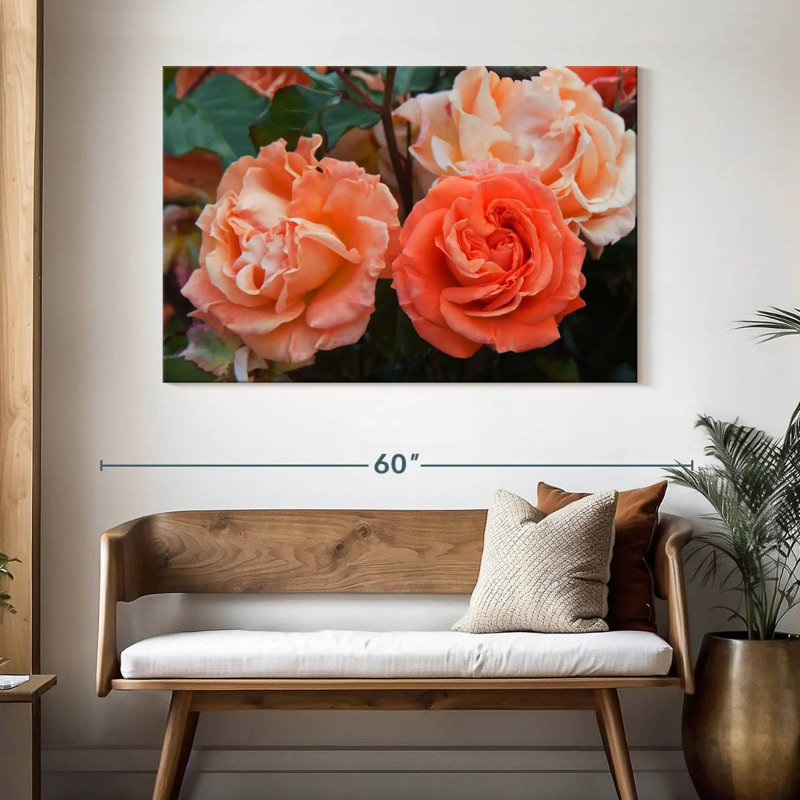 Roses hybrides orange Harnek, H 32 po x l 48 po