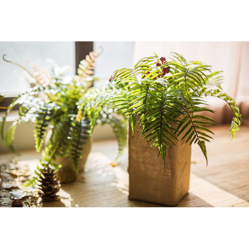 21.7'' Faux Fern Plant