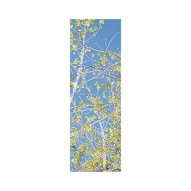 Spring Poplars III 1 Piece Wrapped Canvas Panoramic Wall Art, 30.48 cm H x 91.44 cm W x 1.91 cm D