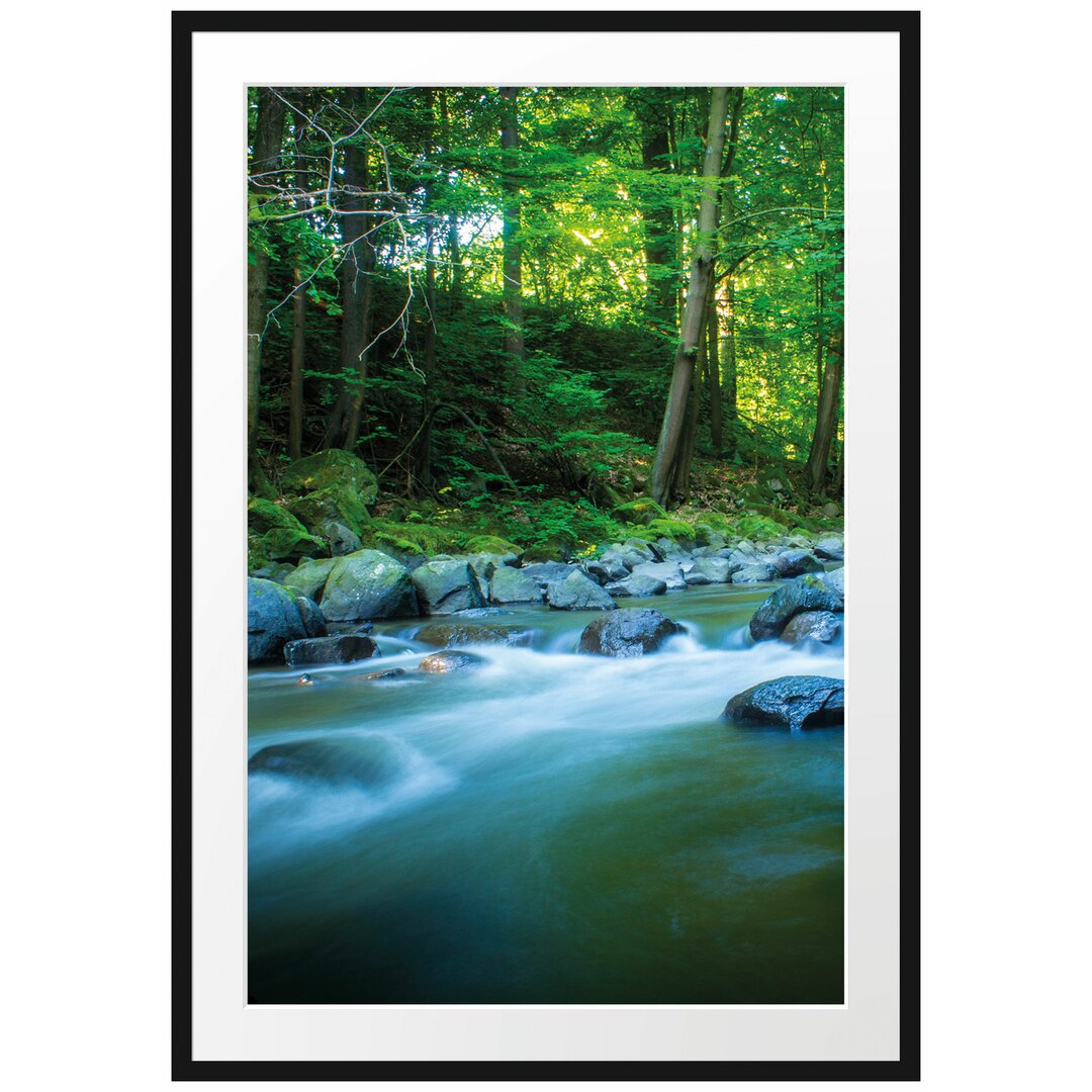 Gerahmtes Poster Fluss im Wald mit Steinen